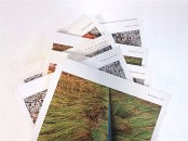 Print example france print house